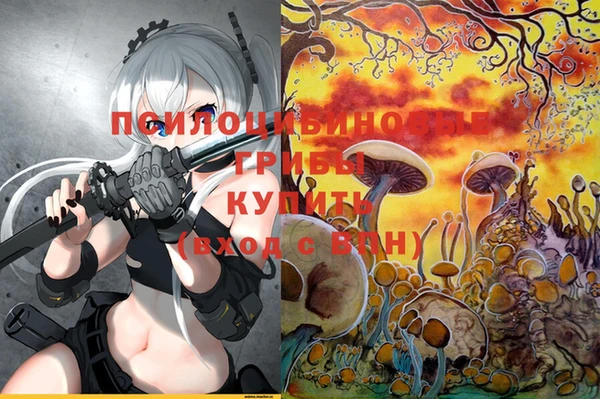 стаф Алзамай
