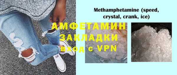 стаф Алзамай
