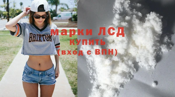 стаф Алзамай