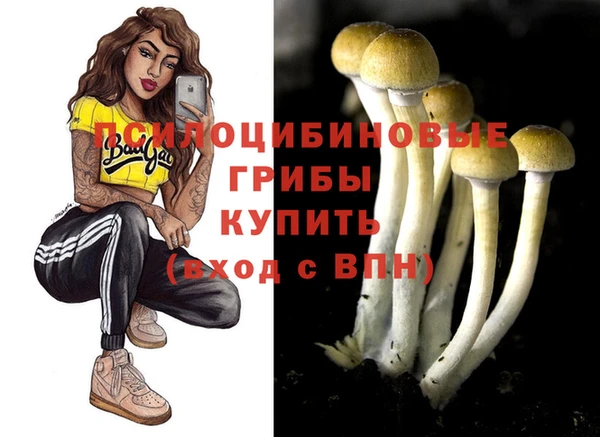 стаф Алзамай