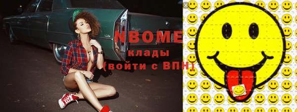 стаф Алзамай