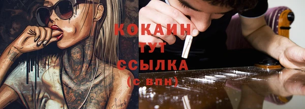 стаф Алзамай